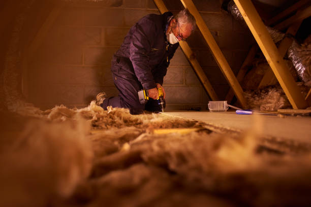 Best Residential Insulation in Ocilla, GA